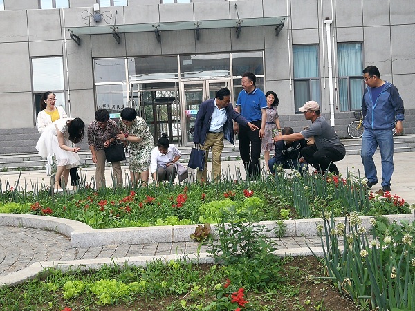 1529635324847321.jpg 参观种植园.jpg